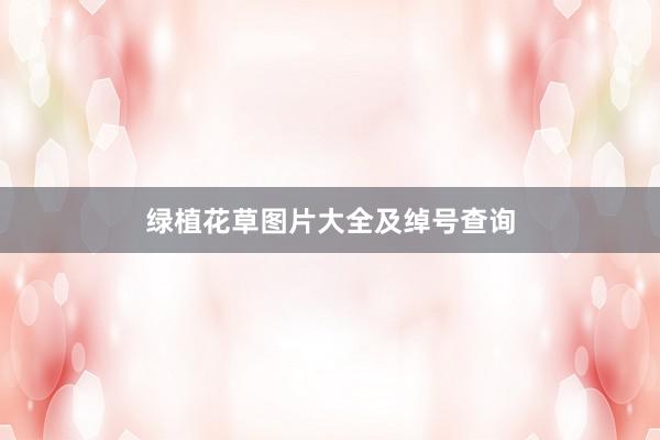 绿植花草图片大全及绰号查询