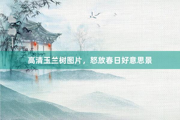 高清玉兰树图片，怒放春日好意思景
