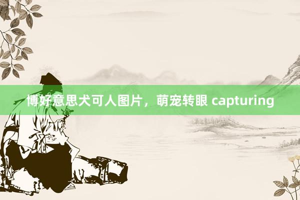 博好意思犬可人图片，萌宠转眼 capturing