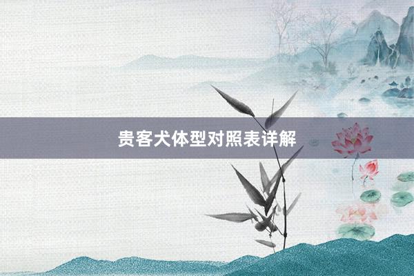 贵客犬体型对照表详解