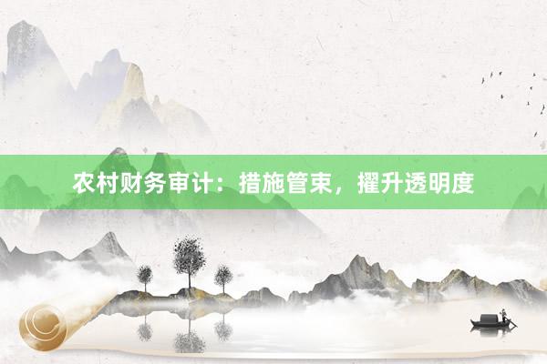 农村财务审计:措施管束,擢升透明度
